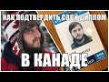 Оценка диплома в Канаде / Эвалюация диплома / Подтверждение диплома в Канаде 2018