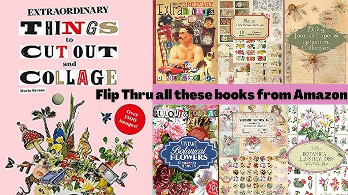 Are these Cut & Collage Books WORTH IT?! 