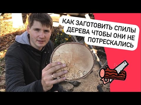 Изготовление вешалки своими руками из среза дерева