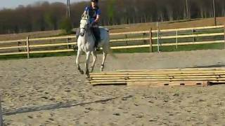 MVI_3427.avi