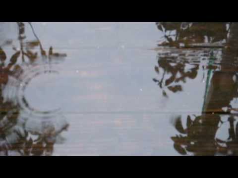 ♥ "An Old Fashioned Love Song" - By The Lettermen