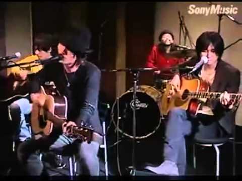 Nico Touches The Walls Hologram Fma Brotherhood Op2 Acoustic Live Youtube