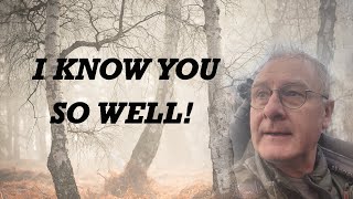 How Knowing a Location Can Make or Break Your Woodland Photography