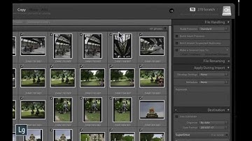 Lightroom Import Dialog - Don