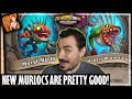 New murlocs are pretty useful  hearthstone battlegrounds