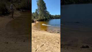 Proboat impulse 31 test 90km/h. #viral #offshore #test #shorts #crash