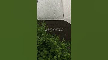 تلاوة من سورة الكهف | هزاع البلوشي | #edit #quran #reels #youtube #قرآن