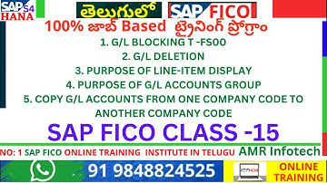 G/L BLOCKING T - FS00 - PURPOSE OF LINE-ITEM DISPLAY- FINANCIAL STATEMENT VERSION F.01 (EXTRACTION)