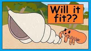 Hermit Crab Song  Fun Song For Kids | Smiley Rhymes