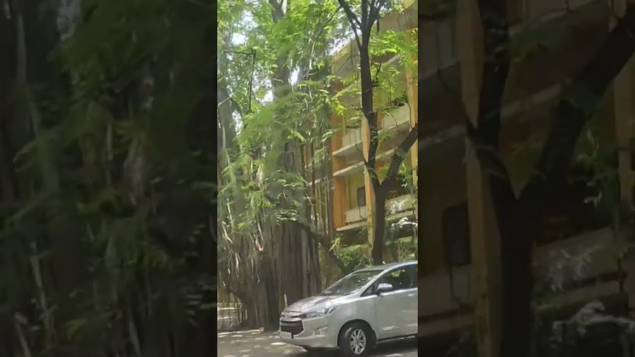 Part-2 Sri Venkateswara University Tirupati 😍❤️ 