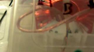DSCN0146.MOV
