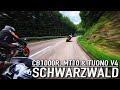 Vosges to the Schwarzwald | CB1000R, MT10 & Tuono V4!