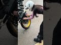 Girl Riding the 🚀 Voge DS 900X Unleashed! #Shorts #bmwgs #voge525dsx #vogeds900x #r1250gsa