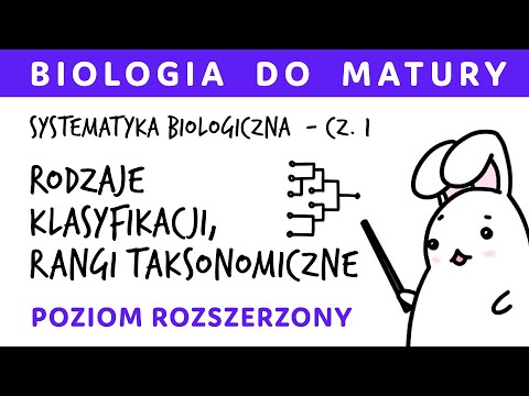 Systematyka biologiczna 1 - rodzaje klasyfikacji, rangi systematyczne, definicja gatunku - biologia