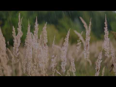 나얼 Naul - 바람기억 Memory Of The Wind