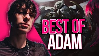 ADAM 'PRINCE DE LA TOPLANE' Montage | Best of ADAM Stream Highlights