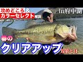 春のクリアアップの攻め方とカラーセレクト。【水の旅＃ ２９５】