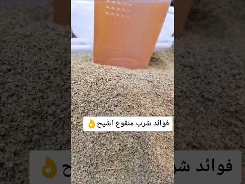 الشيح العشبة السحرية وفوائدها المدهشة