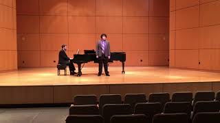 Vado Ben Spesso Cangiando Loco - Salvator Rosa - Joram Alford