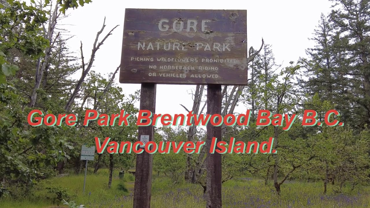 Walking with Bruce. Episode 462. A lovey Spring Nature walk in Gore Park on Vancouver Island.