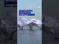 French artist JR begins inflating a giant ‘cave’ over oldest bridge in Paris | DW News