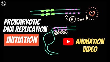 Prokaryotic DNA replication || Initiation