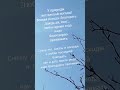 "Надо благодарно принимать !" Э.Рязанов #поэзиядлядуши