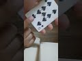 اسماء بلوت ولسر اسماء بلوت ولسر
