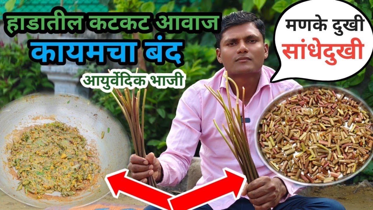 फक्त एकदा ही भाजी खाऊन पहा गुडघेदुखी, सांधेदुखी हाडांचे सर्व आजार दूर होतील Aluchya Dethachi Recipe