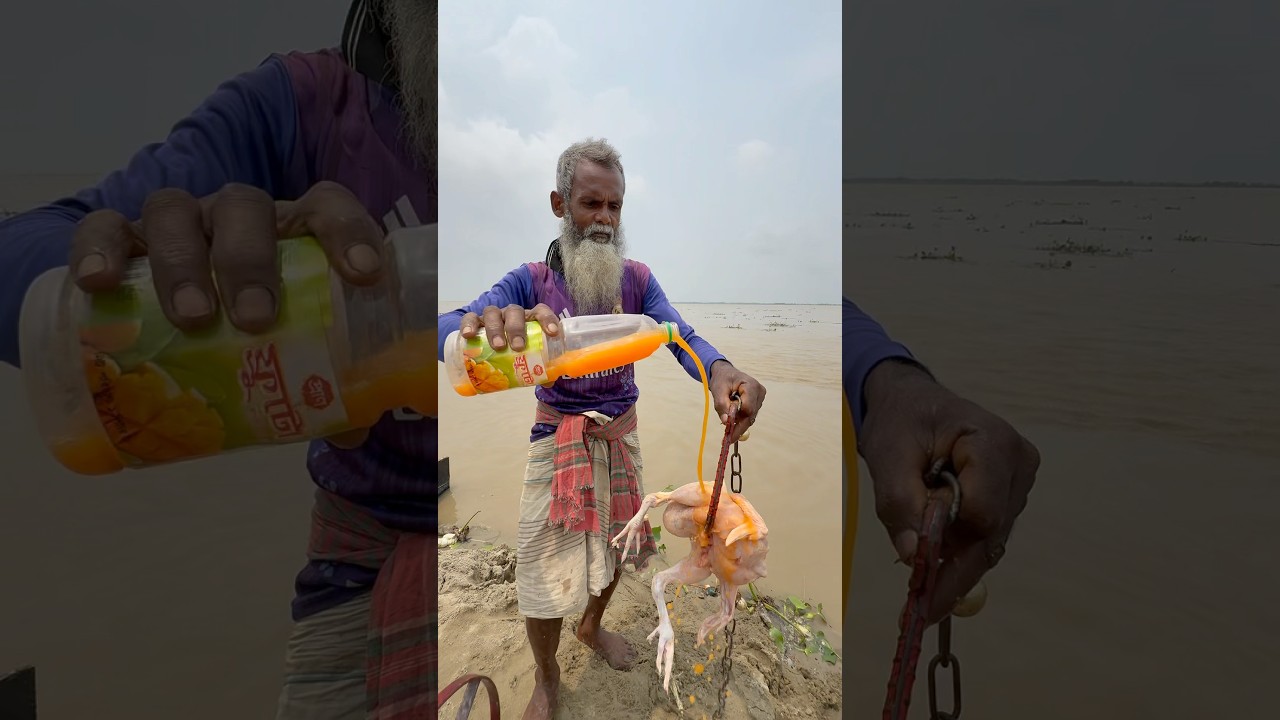 Best Rural Fishing Method for Carp with Chicken ￼Bait 