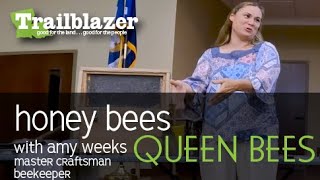 Honey Bees Queen Bees With Amy Weeks, Master Craftsman Beekeeper