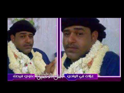 علوي فيصل علوي غزلان في الوادي 
