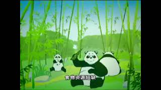 Hello China EP.90 Giant panda: A Chinese symbol for peace 大猫熊