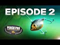 PERCH PRO 7 - Episode 2