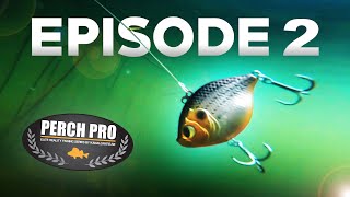 PERCH PRO 7 - Episode 2