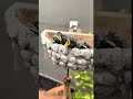 How Handmade Cement Nests Help Swallows Survive #farm