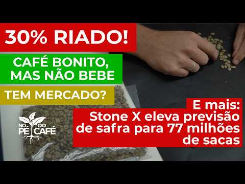 Muito café riado! Café bonito que bebe mal! Mistura com o bom ou separa?O que fazer com ele?