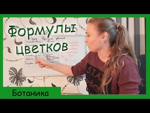 Урок биологии №35. Формулы цветков.