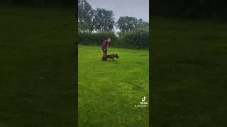 Nova PSA2 - call off training