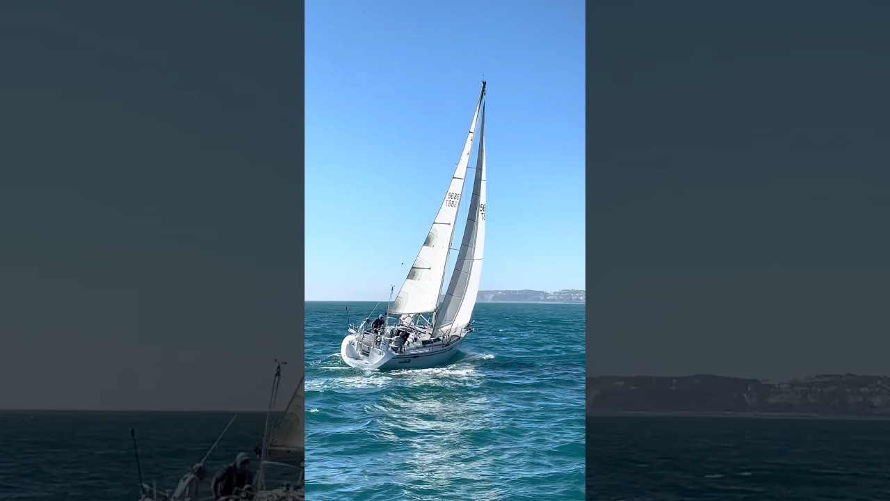 ⛵️FUHGEDDABOUDIT⛵️