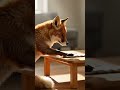 🦊✨ Smart Fox Cleans Up in 30 Seconds!