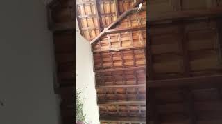 Medes culpe mas não pudi ver o video efazer un titulo mas legal(4)