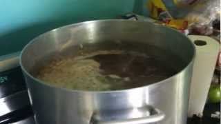 Stone IPA Clone Brew Centennial Hops Drop | I Have No Choice IPA
