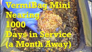 T-minus 1 month until planned harvest of the now 969-day VermiBag Mini - vermicompost