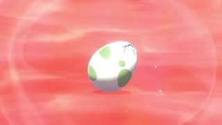 When You Get A 1St Egg Shiny Elekid After Collecting 600 Eggs