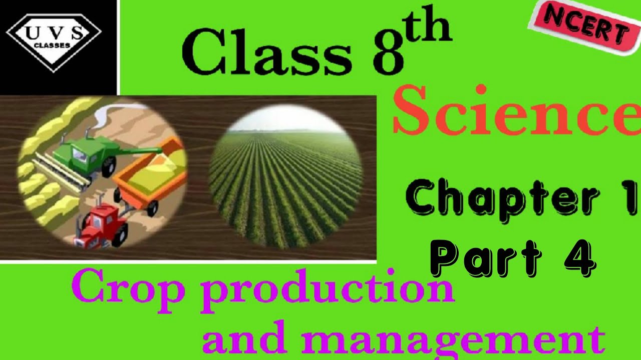 Question-Answer(PART 2)of Chapter 1 Science NCERT Class 8th - YouTube
