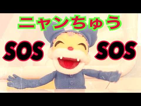 ネタ※にゃんちゅうSOS　声マネ