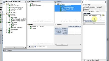 SAP Query Design using Bex