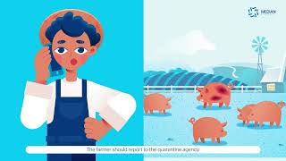 [MEDIAN Diagnostics] African Swine Fever (ASF) Total Diagnostic System