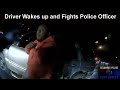 Driver wakes up from Seizure and Fights Police Officer